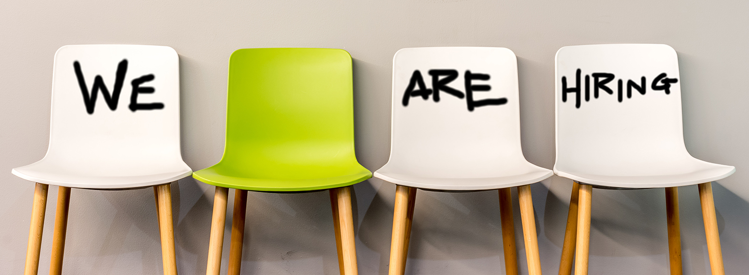 Senior Recruitment Consultant / Team Leader